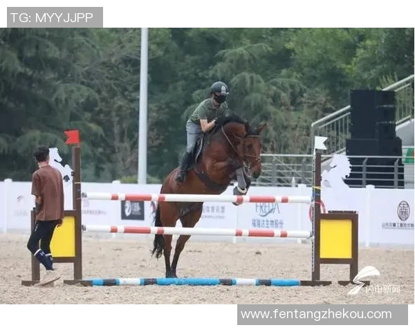 南京篮球队实力飙升创新高引发全国关注与期待