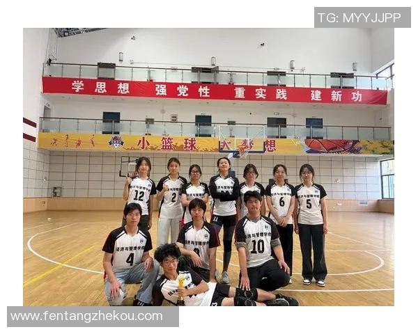 南京排球队选拔赛背后的奋斗故事与拼搏精神全景揭秘