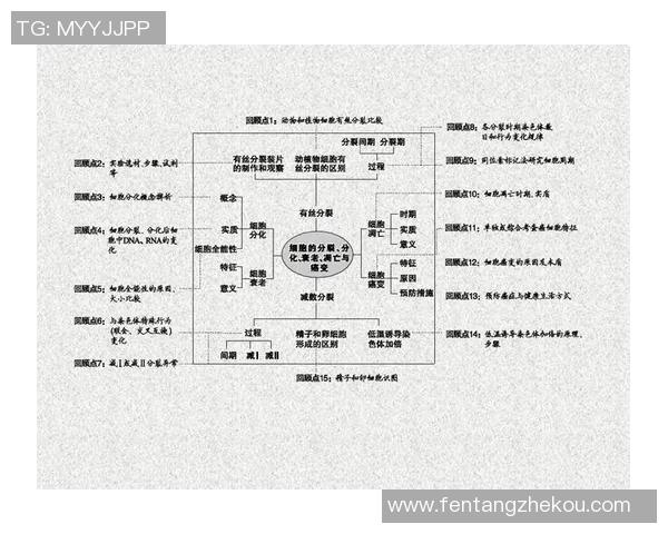 南京篮球队亚运会征程回顾与突破历程的深度剖析与展望
