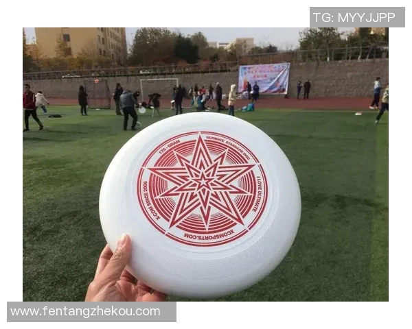 南京飞盘队与武汉飞盘队赛后复盘分析灵活性表现与战术调整